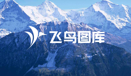 吖吖网络网站案例-飞鸟图库网站UI设计